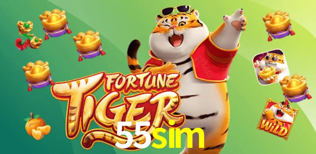 Experiência VIP 55sim